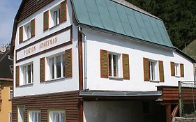 Penzion Apartmán Janov